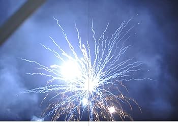 絶版‼️ Tobias Zielony 写真集 Tobias Zielony: The Fall: Seelig, Thomas, Zielony, Tobias