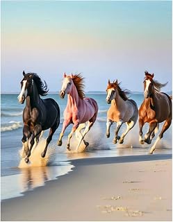 DCIDBEI Pintura por Números Caballos s 40x50cm Pintura 5d Diamante Mar Paisaje Diamond Painting Paisajes de Playa Pintura Diamante Blanco y Negro Caballos Puzzle Animales