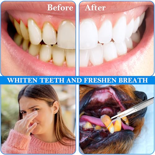 AHQiZFX 4 ferramentas dentárias para cães, raspador e raspador de dentes de animais de estimação, fe