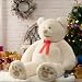 HollyHOME 150cm Teddy groß Teddybär XXL Kuscheltier Geschenk, Plüschtier Stofftier Weiches Spielzeug Bär Tedi Kuschelbär Beige