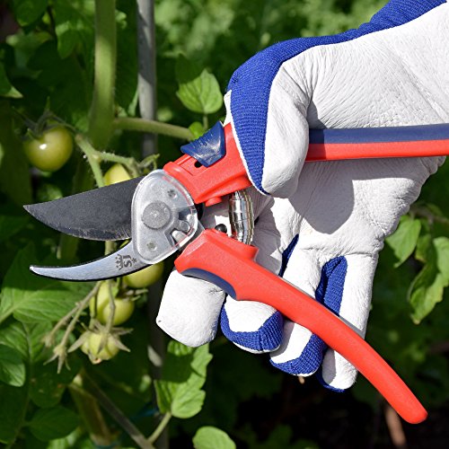 Spear & Jackson 7459Bs Razorsharp Geared Bypass Pruners, Red #TOP1