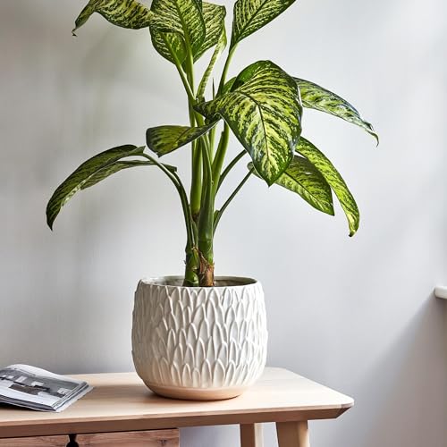 Image of Ivyline Arles Leaf Embossed Bowl Planter in White - Stylish, Waterproof & Durable - Decorative Round Glazed Indoor Ceramic Flower Pot - H20cm x W22cm