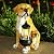 Garden Dog Statues Outdoor Decor, Solar Lights Outdoor Labrador Figurine Solar Dog Ornaments for Patio, Lawn, Yard Art Decoration, Housewarming Garden Gifts for Mom