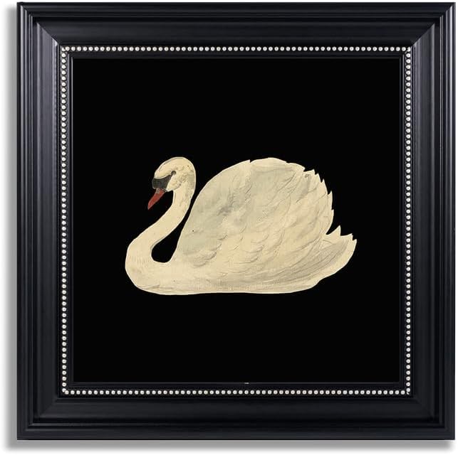 Qizee Vintage Framed Art Swan Wall Art Decorations Vintage Grace Swan Pictures Wall Decor Rustic Bathroom Decor Aesthetic,16x16 inch Black and White Framed Wall Art