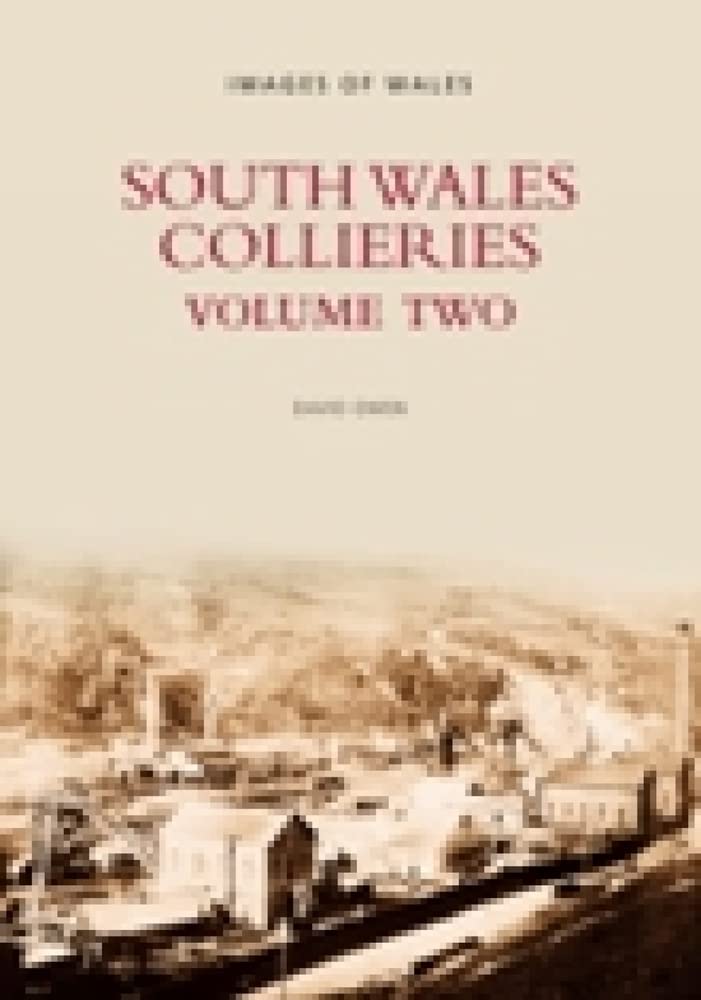 South Wales Collieries Vol. 2 (Revealing History (Paperback))