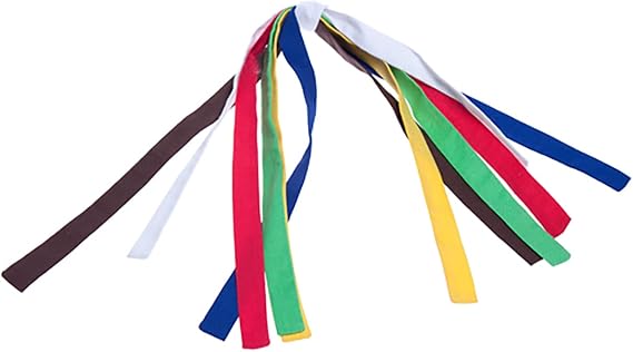 Stuffems Toy Shop Karate Outfit with 6 Colored Belts Fits Most 8-10 Webkinz, Shining Star and 8-10 Make Your Own Stuffed Animals and