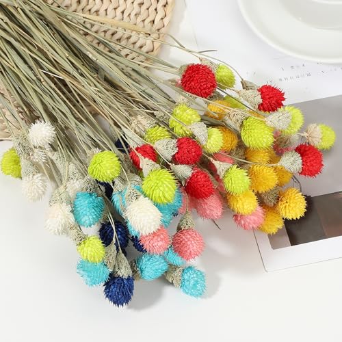 Mini flores secas bola de pino 16 pulgadas 30 piezas miniatura 4