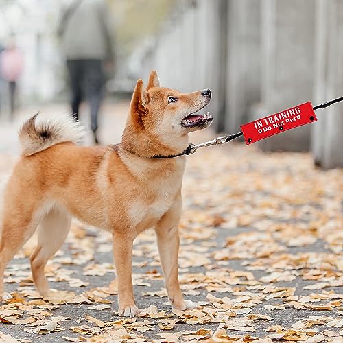Advivio Leash Sleeve in Use