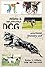 Athletic and Working Dog: Functional Anatomy and Biomechanics