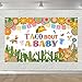 Avezano Fiesta Baby Shower Backdrop Taco Bout a Baby Backdrop Mexican Fiesta Baby Shower Party Decoration Neutral Cactus Fiesta Themed Baby Shower Banner 70.8 x 43.3 Inch