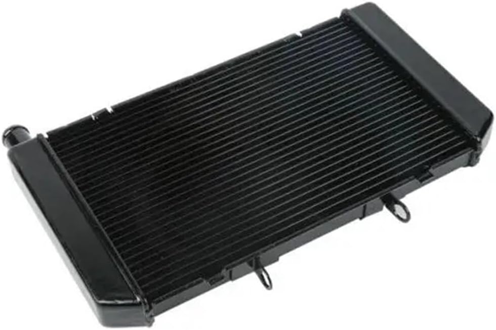 COZY WORLDWIDE ハラコ レオパード スタッズ トゲ キャップ 帽子 COZY