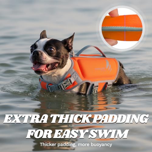 VIVAGLORY High Buoyancy Schwimmweste Hund, Rettungsweste, Hundeschwimmweste für Bootfahren, Schwimmhilfe & Auftrieb, S, Orange