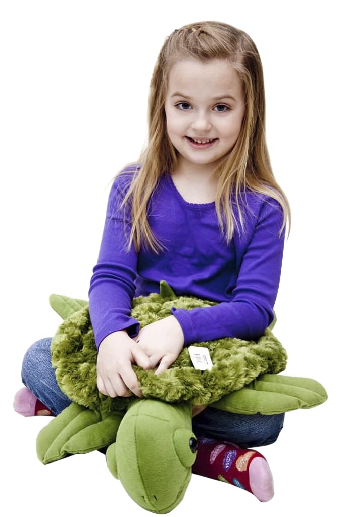 ABILITATIONS Weighted Turtle