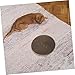 YARNOW Replacement Cat Scratching Pad Round Corrugated Cat Scratcher for All Ages Easy to Install for Pets Freshens Scratching Area