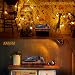 Tocadiscos de Vinilo,VOKSUN Tocadiscos Bluetooth y codificador Digital con 3 velocidades 33/45/78...