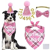 STMK Traje de cumpleaños para perro, L)