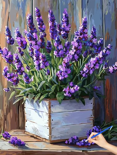 G  hG g Paint by Numbers io[yCg q S DIY Cheerful Painting H| |ph ANLbg l̂߂̃NGCeBuȎ av[g z[ ItBX̕