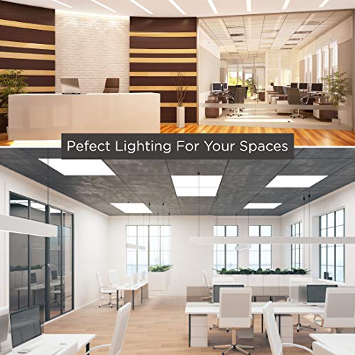 Goodbulb Pll40/835 | 40W 22.5" Twin Tube Compact Fluorescent Light Bulb | 4-Pin 2G11 Base 3500K Neutral White 2800 Lumen | 12000 Hour Long Life Biax | Pack Of 10 #TOP3