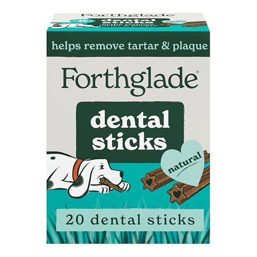 Forthglade Natural Dog Dental Sticks - Plant Based & Grain Free Dental Chews - 20 Sticks (4 x 170g)