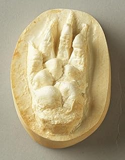 Wood Chuck Track Replica