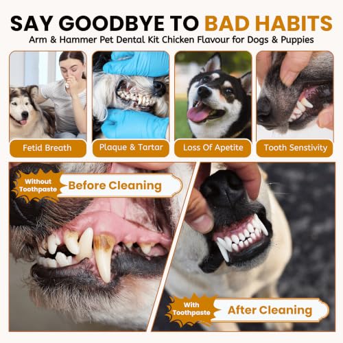 Arm & Hammer, Dog Toothpaste, Dog Toothbrush Kit, Chicken Flavor | Enzymatic baking soda formula freshens breath; dual-sided brush with large and small heads plus finger brush - image 8