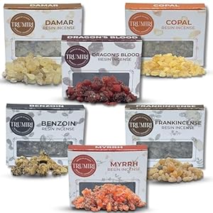 Resin Incense – Natural Tree Gum Sap – 6x30g Variety Pack Including Frankincense and Myrrh Copal Benzoin Dragon’s Blood Damar