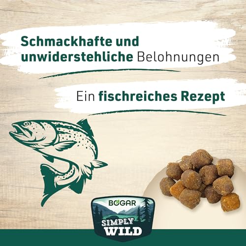 Bogar – Simply Wild – Katzenleckerlis als Ergänzung zur Katzenfutter – Schmackhafte Katzensnacks mit Lachs – Leckereien für Katzen zur optimalen Katzenpflege – In Form von leckeren Häppchen – 60 g