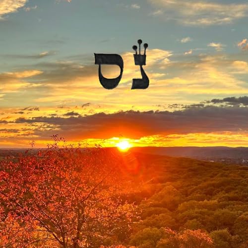 99. Neis: A Meditation of Miracles