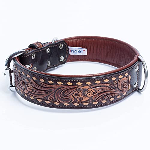Genuine Top Grain Leather Western Tooled Dog Collar | Handmade | Buck-Stitched, Two Tone Finish | Padded Dog Collar | Brass & Stainless Steel Hardware | Tucson Collection By Angel Pet Supplies #TOP1