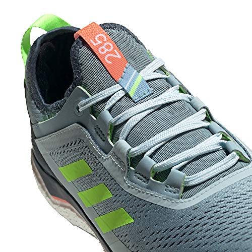 Adidas Terrex Agravic Flow GTX W, Scarpe Running