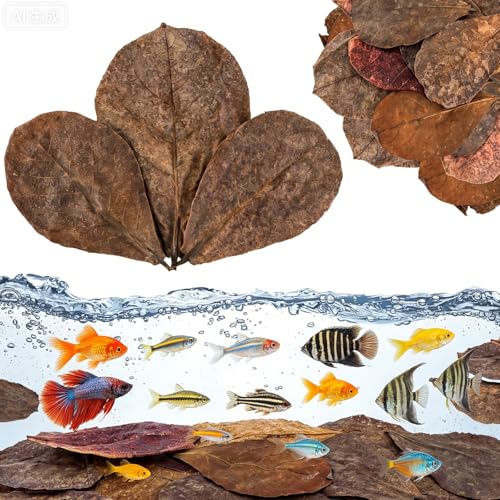 LeonBach 50 Pcs Large Catappa for Fish,5-8 Inch, 125g Indian Almond Leaves Creates Native Environment, Catappa Leaves Beta Fish Leaf for Aquarium Shrimp Tank Decorations Water Conditioner