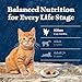 Blue Buffalo Wilderness Kitten Food, High-Protein & Grain-Free Wet Cat Food Paté Variety Pack, Chicken & Salmon Recipes, 3-oz Cans (6 Count, 3 of Each)