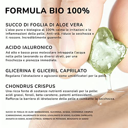 Gel Aloe Vera Biologico - coltivazione biologica