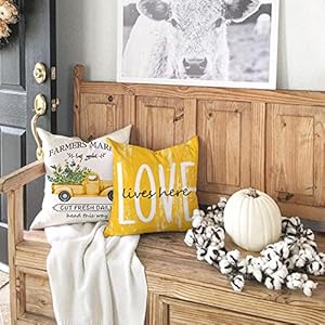 DFXSZ Farmhouse Pillow Covers 18x18 Set of 4,Eucalyptus Leaves Decorations Truck Vase Home Sweet Home Linen Cushion Case Gifts for Home Decor… DFXSZ Farmhouse Pillow Covers 18×18 Set of 4Eucalyptus Leaves Decorations Truck Vase Home Sweet Home Linen Cushion Case Gifts for Home Decor