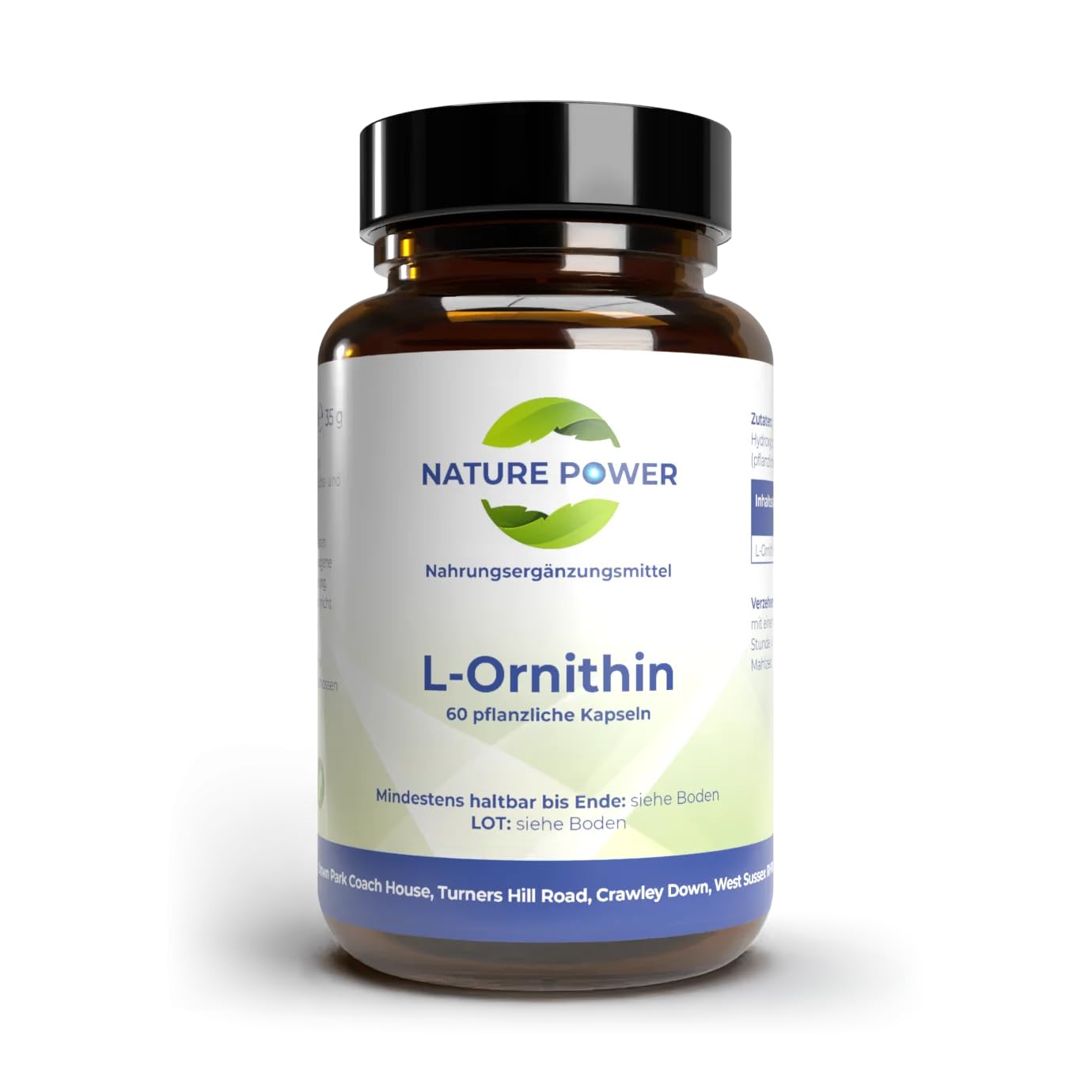 L-Ornithin – 500 mg – 60 pflanzliche Kapseln