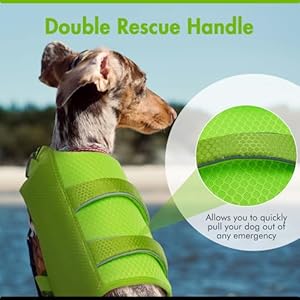 IECOii-Dog-Life-Jacket-LargeLarge-Dog-Life-Vest-for-BoatingReflective-Dog-Swimsuit-Lifejacket-with-Double-Rescue-HandleLightweight-Pet-Dog-Life-Preserver-Vest-for-Kayaking-SurfingBright-GreenL - Cucciolini Doodles   IECOii-Dog-Life-Jacket-LargeLarge-Dog-Life-Vest-for-BoatingReflective-Dog-Swimsuit-Lifejacket-with-Double-Rescue-HandleLightweight-Pet-Dog-Life-Preserver-Vest-for-Kayaking-SurfingBright-GreenL