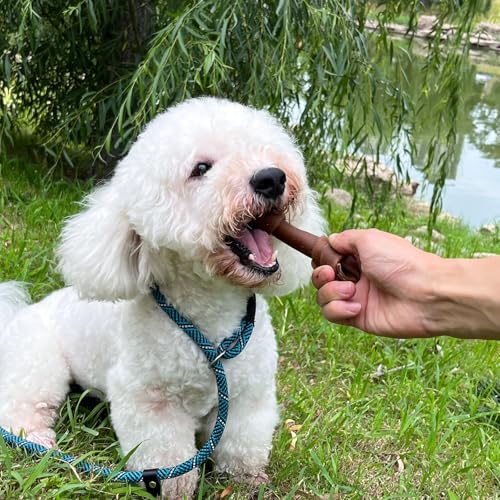 Image of MON2SUN Dog Treats, 5 Inch Rawhide-Free Peanut Butter Bones, 25.4 oz | 12 Count Pack, Balanced Snack Choice, Chewing Enjoyment, Teeth Cleaning, Suitable for Small and Medium Dogs