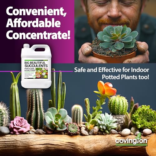 Fertilizante Líquido para Suculentas Covington Naturals 32oz miniatura 5
