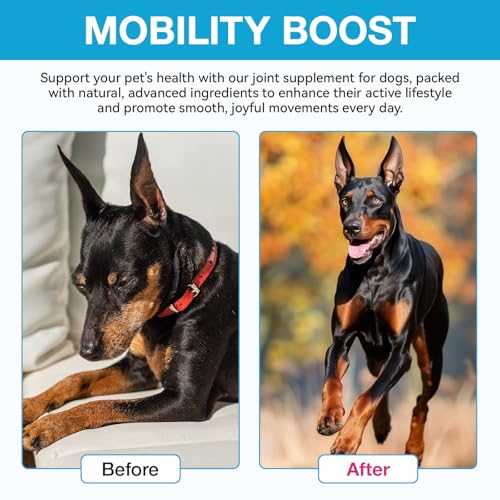 Pain Relief for Dogs, Gelenk Drops für Hunde, Dog Chondroitin Drops, Joint Aid & Relief with Glucosamine, Gelenk- & Knochenschutz für Hunde, 60ML