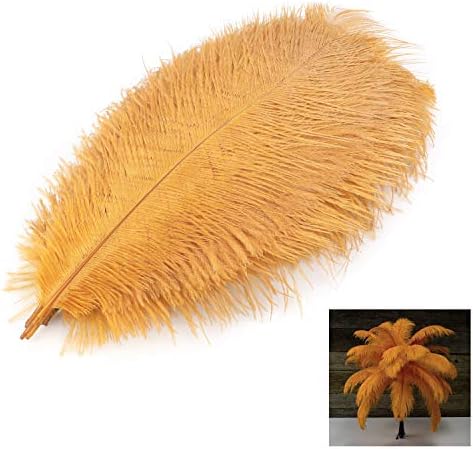 10 Plumes D'autruche Naturelles – KikiHong – Déco Polyvalente