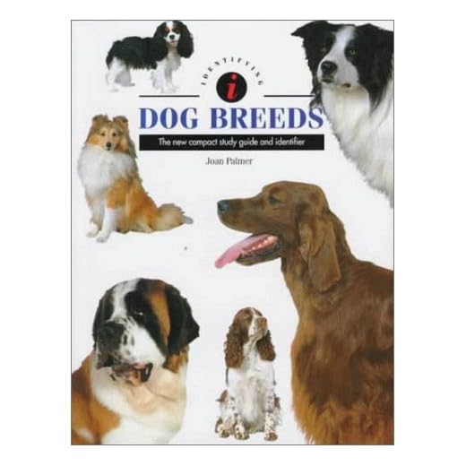 Identifying Dog Breeds: The New Compact Study Guide and Identifier (Identifying Guide Series)