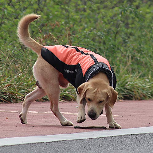 Idepet Hund Mantel Warme Jacke, Reflektierender Haustier-Schneeanzug Sport im Freien wasserdichte Hundekleidung Outfit-Weste für mittelgroße Hunde mit Gurtloch