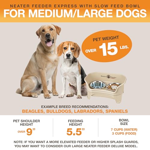 image for Neater Feeder - Express Model w/ Slow Feed Bowl - Mess-Proof Dog Bowls