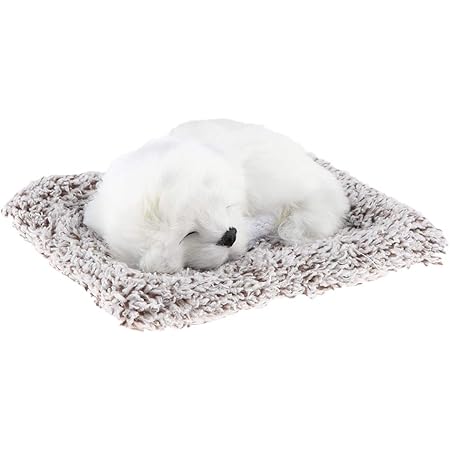 Amazon 犬ぬいぐるみ 眠っている 人形 動物ぬいぐるみ 犬人形 テーブル 装飾 全6カラー ペキニーズ ぬいぐるみ おもちゃ