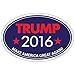 Imagine This Company YY7534 6" x 4" Oval Car Magnet