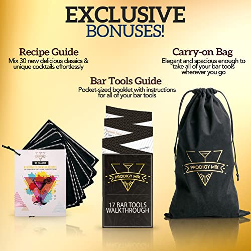 The Complete Mixology Bartender Kit 20-Piece Boston Cocktail Shaker Set - Premium Bar Accessories & Tools Set, Bonus Velvet Bag & Recipe Cards, Stainless Steel Drink Mixer (Gunmetal-Black, 20-Piece) #TOP3