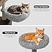 Sunvasagoo Litter Box Enclosure with Cat Tree Tower & Condo - 3-in-1 Cat House, Multi-Level Design for Climbing, Wooden Cat Furniture with Multiple Platforms,Versatile with Simple Assembly