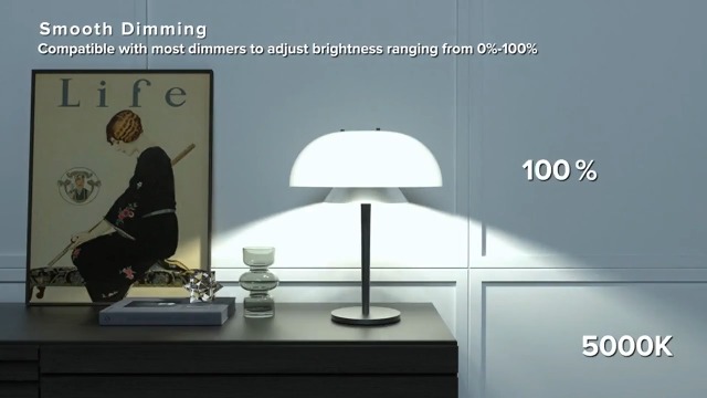 SANSI LED Light Bulbs Dimmable, 150W Equivalent Large A19 E26