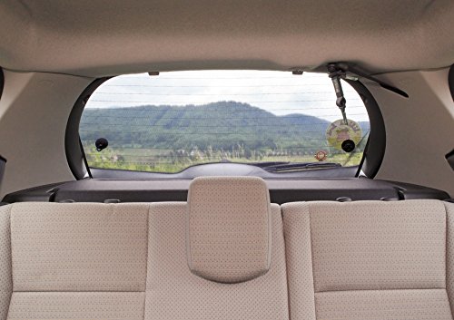 Carlinea 463544 3676