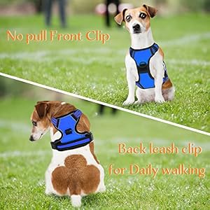 No Pull Dog Harness for Medium Large Dogs Adjustable Reflective Pet Vest Harness for Small Dogs Front Clip Harness Easy Control Handle Best for Outdoor Training and Walking Blue S No Pull Dog Harness for Medium Large Dogs Adjustable Reflective Pet Vest Harness for Small Dogs Front Clip Harness Easy Control Handle Best for Outdoor Training and Walking Blue S